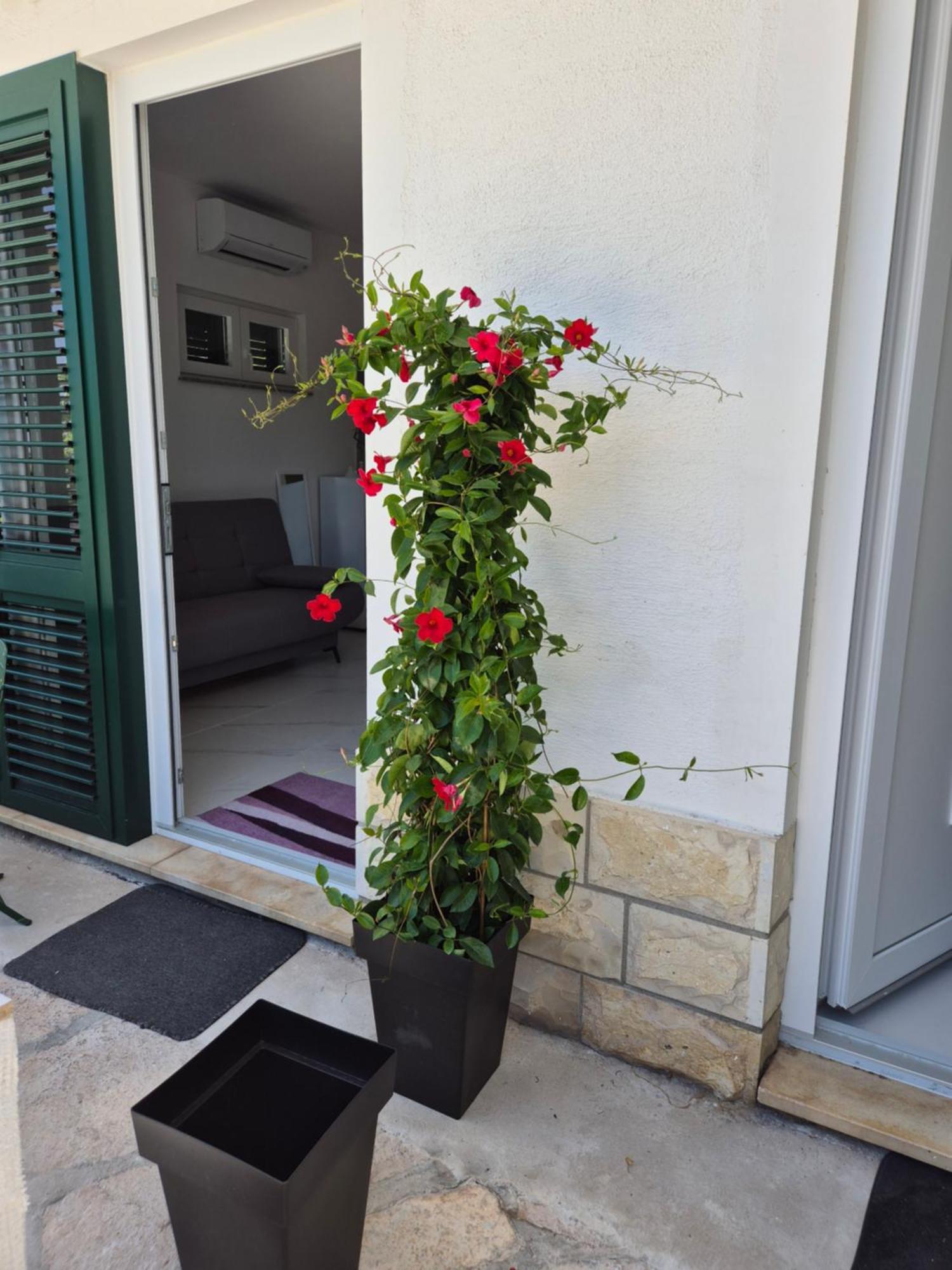 Apartman Bauer - Omis- Nemira Buitenkant foto